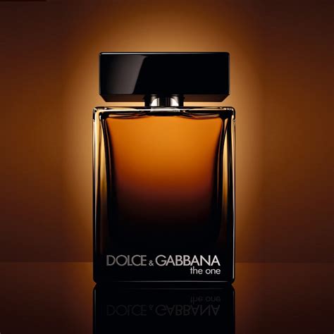 men's dolce gabbana the one|d&g the one notes.